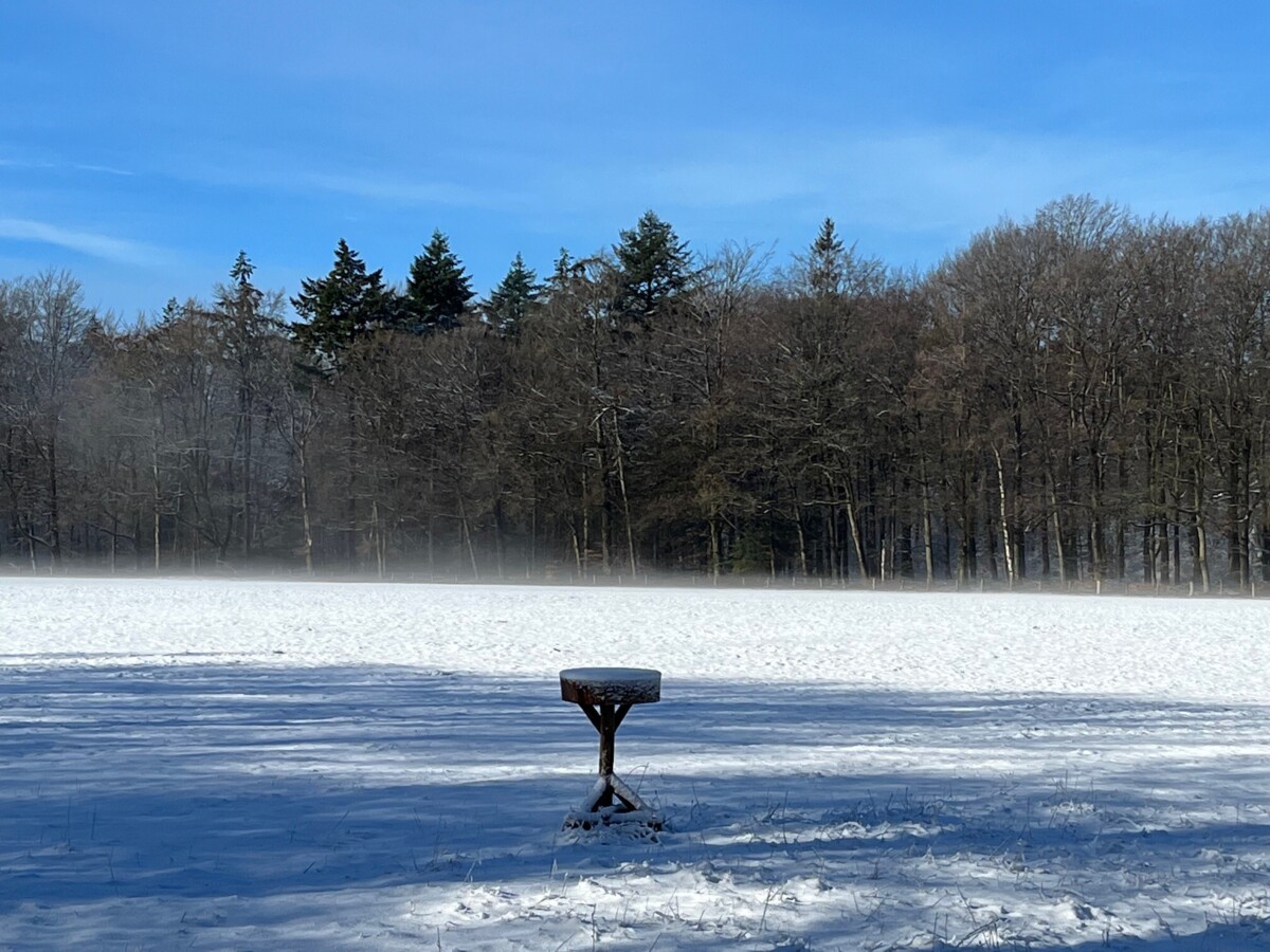Welna_veld_besneeuwd.jpg